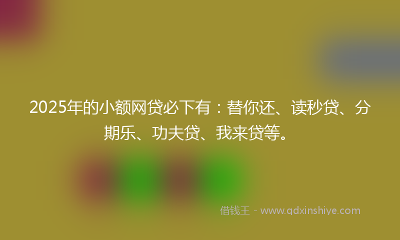 2025年的小额网贷必下有：替你还、读秒贷、分期乐、功夫贷、我来贷等。