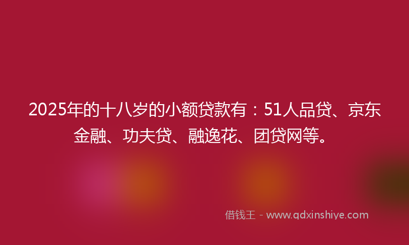 2025年的十八岁的小额贷款有：51人品贷、京东金融、功夫贷、融逸花、团贷网等。
