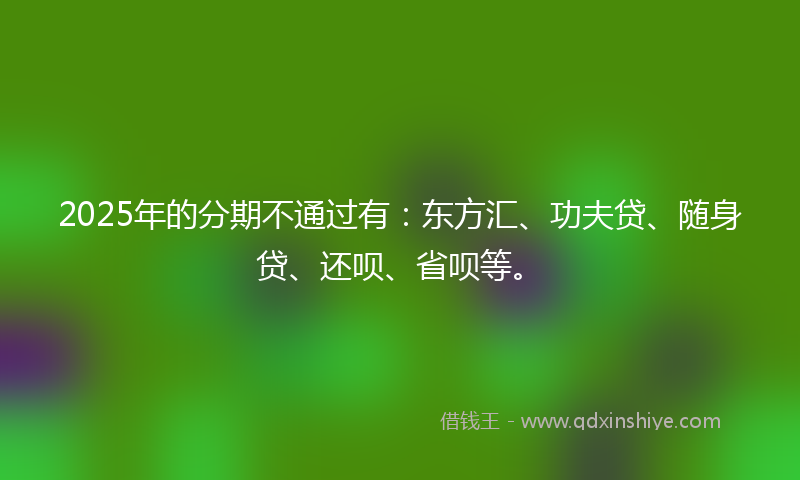 2025年的分期不通过有：东方汇、功夫贷、随身贷、还呗、省呗等。