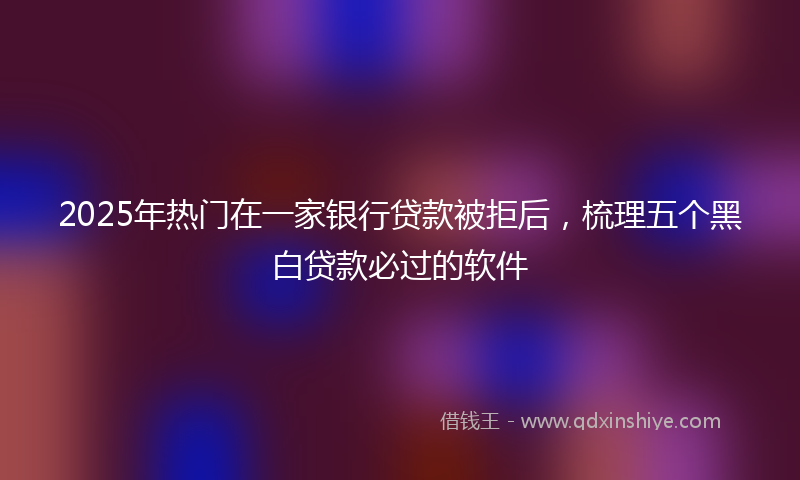 2025年热门在一家银行贷款被拒后，梳理五个黑白贷款必过的软件