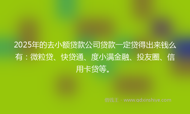2025年的去小额贷款公司贷款一定贷得出来钱么有：微粒贷、快贷通、度小满金融、投友圈、信用卡贷等。