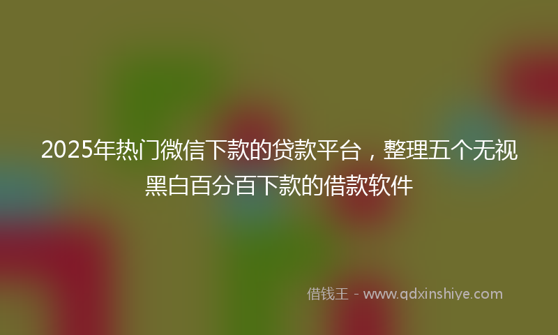 2025年热门微信下款的贷款平台，整理五个无视黑白百分百下款的借款软件