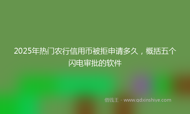 2025年热门农行信用币被拒申请多久，概括五个闪电审批的软件