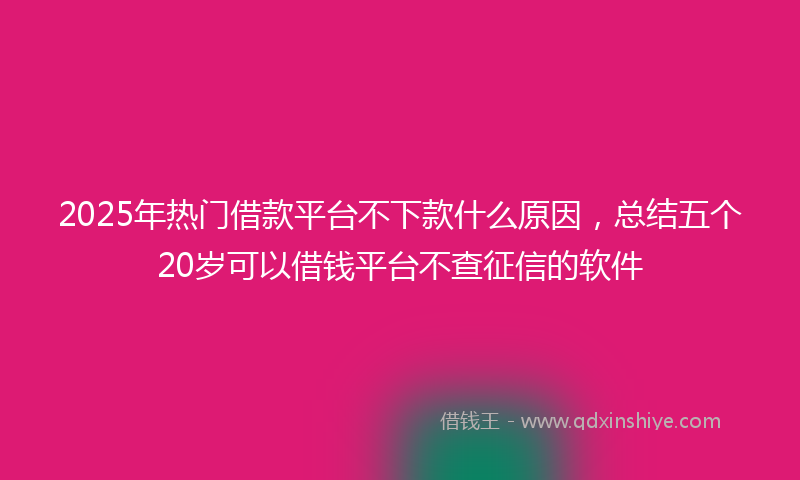 2025年热门借款平台不下款什么原因，总结五个20岁可以借钱平台不查征信的软件