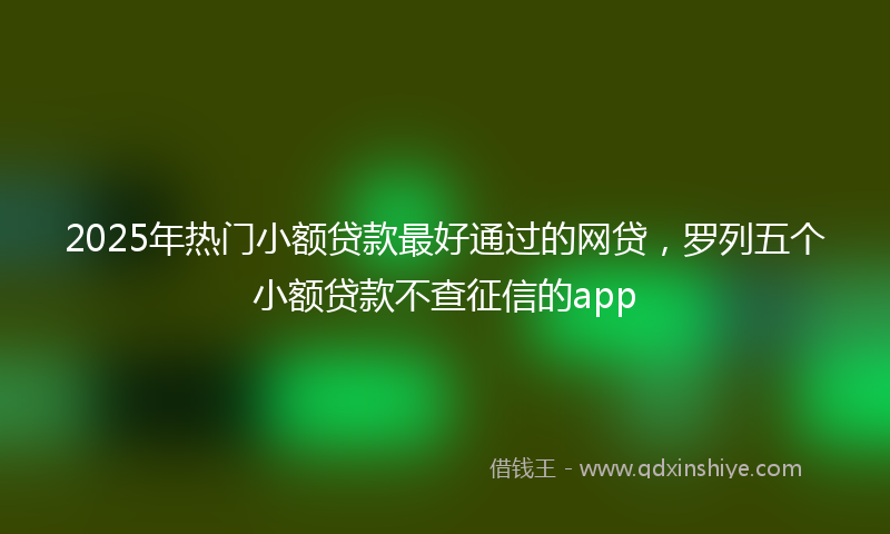 2025年热门小额贷款最好通过的网贷，罗列五个小额贷款不查征信的app