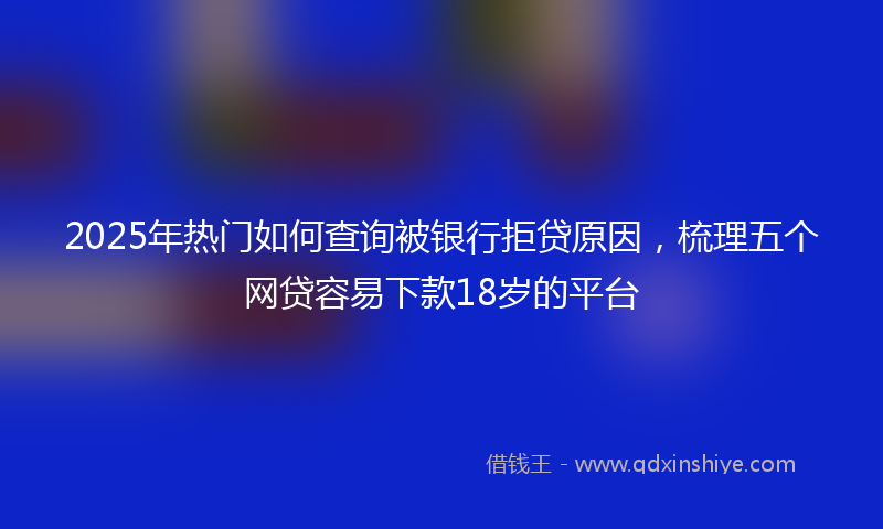 2025年热门如何查询被银行拒贷原因，梳理五个网贷容易下款18岁的平台