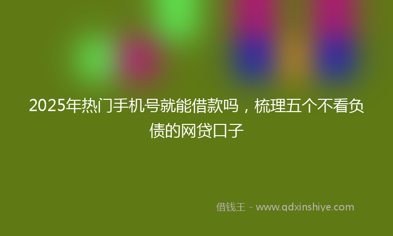 2025年热门手机号就能借款吗，梳理五个不看负债的网贷口子