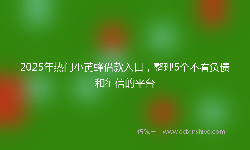 2025年热门小黄蜂借款入口，整理5个不看负债和征信的平台