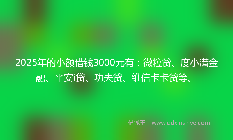 2025年的小额借钱3000元有：微粒贷、度小满金融、平安i贷、功夫贷、维信卡卡贷等。