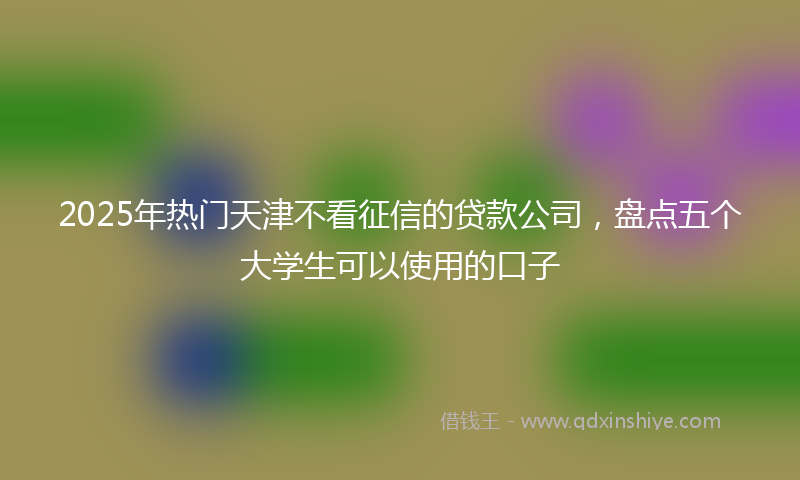 2025年热门天津不看征信的贷款公司，盘点五个大学生可以使用的口子