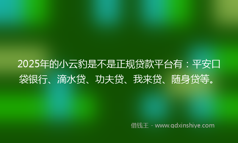 2025年的小云豹是不是正规贷款平台有：平安口袋银行、滴水贷、功夫贷、我来贷、随身贷等。
