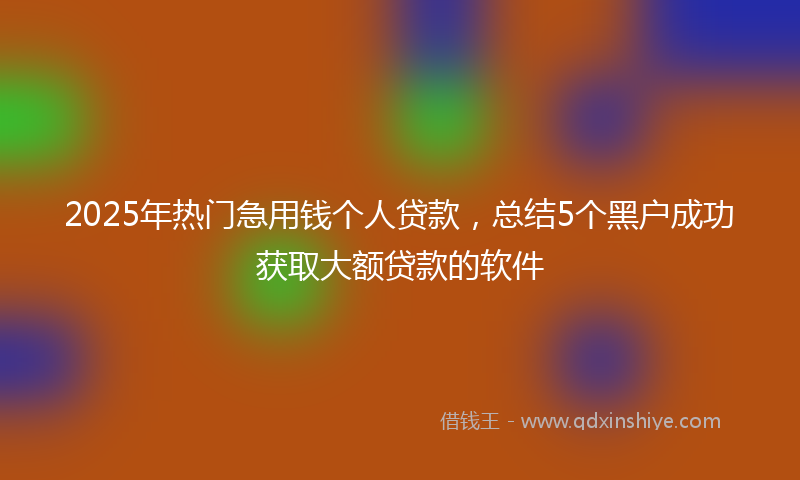 2025年热门急用钱个人贷款，总结5个黑户成功获取大额贷款的软件