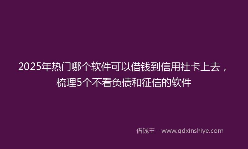 2025年热门哪个软件可以借钱到信用社卡上去，梳理5个不看负债和征信的软件