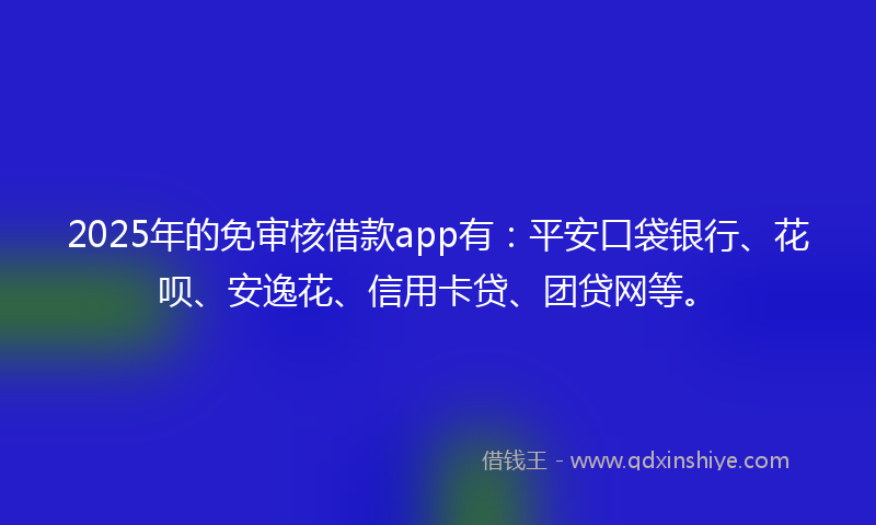2025年的免审核借款app有：平安口袋银行、花呗、安逸花、信用卡贷、团贷网等。
