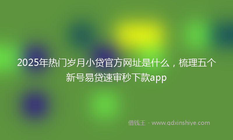2025年热门岁月小贷官方网址是什么，梳理五个新号易贷速审秒下款app