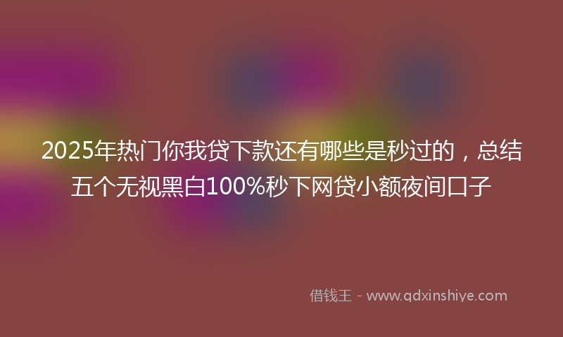 2025年热门你我贷下款还有哪些是秒过的，总结五个无视黑白100%秒下网贷小额夜间口子