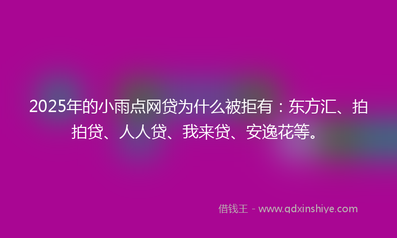 2025年的小雨点网贷为什么被拒有：东方汇、拍拍贷、人人贷、我来贷、安逸花等。