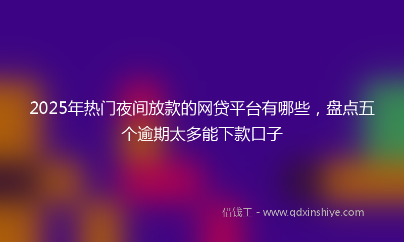 2025年热门夜间放款的网贷平台有哪些，盘点五个逾期太多能下款口子