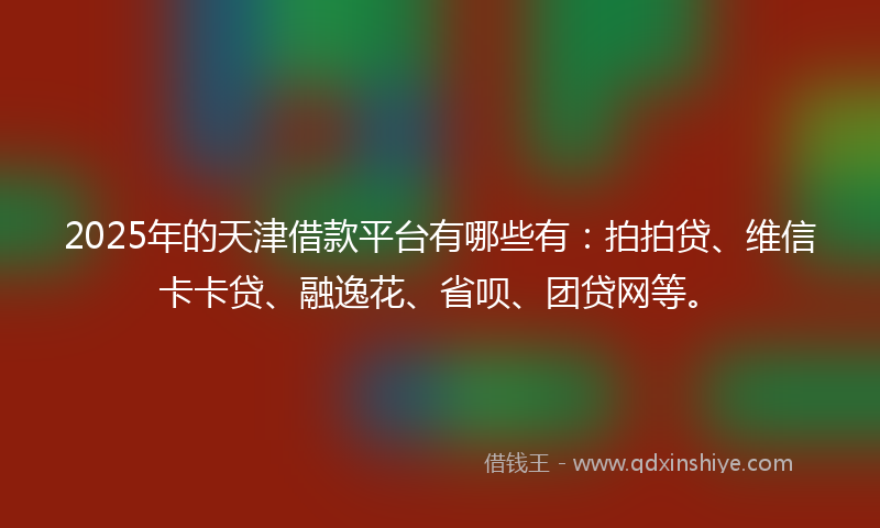 2025年的天津借款平台有哪些有：拍拍贷、维信卡卡贷、融逸花、省呗、团贷网等。