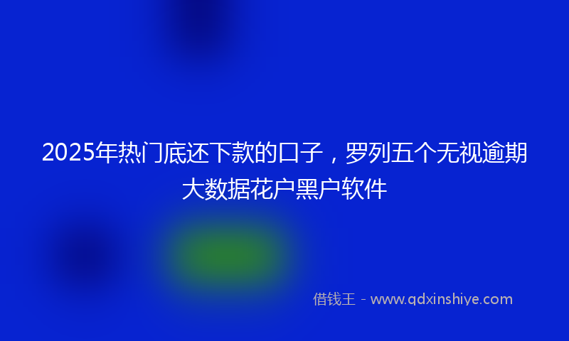 2025年热门底还下款的口子，罗列五个无视逾期大数据花户黑户软件