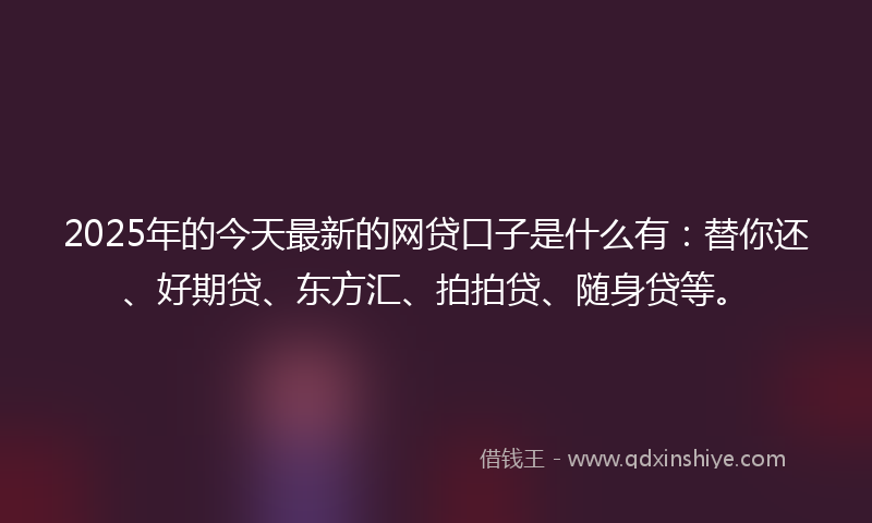 2025年的今天最新的网贷口子是什么有：替你还、好期贷、东方汇、拍拍贷、随身贷等。