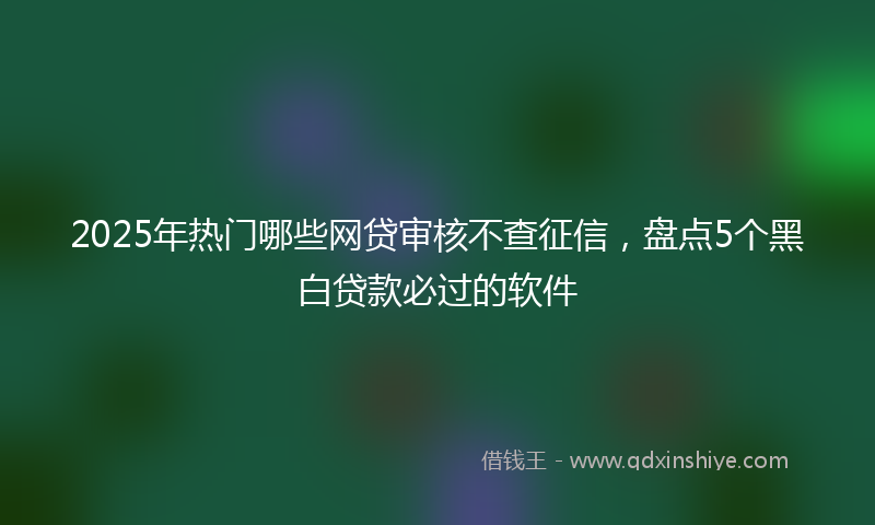 2025年热门哪些网贷审核不查征信，盘点5个黑白贷款必过的软件