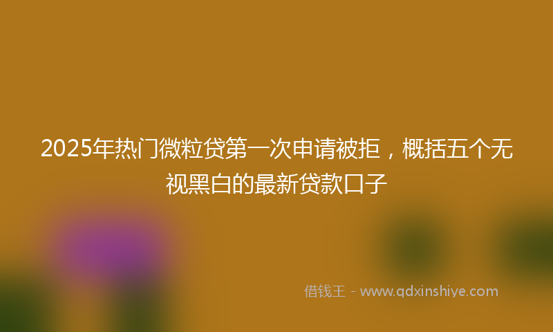 2025年热门微粒贷第一次申请被拒，概括五个无视黑白的最新贷款口子