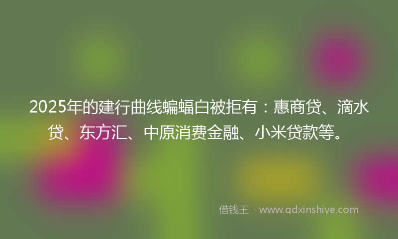 2025年的建行曲线蝙蝠白被拒有：惠商贷、滴水贷、东方汇、中原消费金融、小米贷款等。