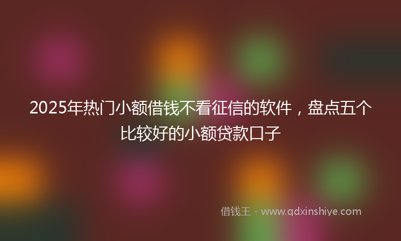 2025年热门小额借钱不看征信的软件，盘点五个比较好的小额贷款口子