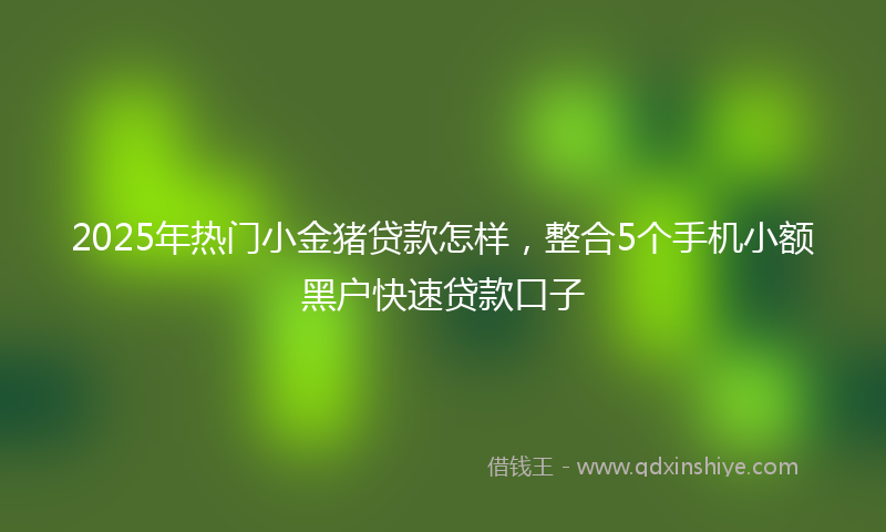 2025年热门小金猪贷款怎样，整合5个手机小额黑户快速贷款口子