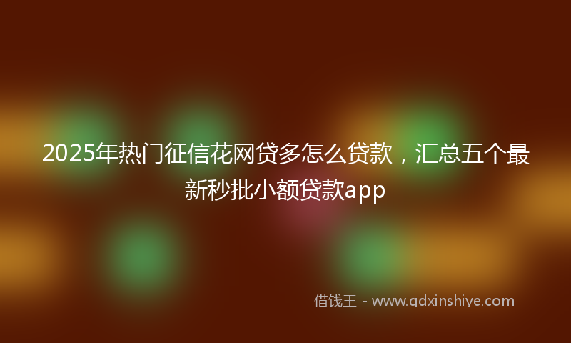 2025年热门征信花网贷多怎么贷款，汇总五个最新秒批小额贷款app