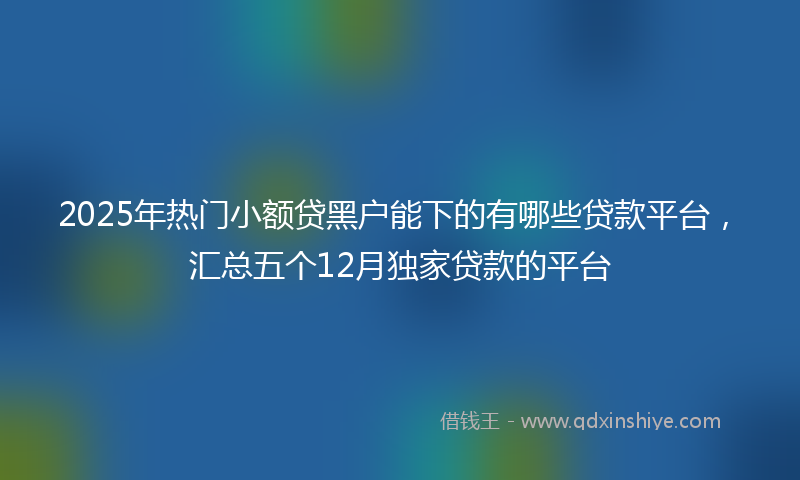2025年热门小额贷黑户能下的有哪些贷款平台，汇总五个12月独家贷款的平台