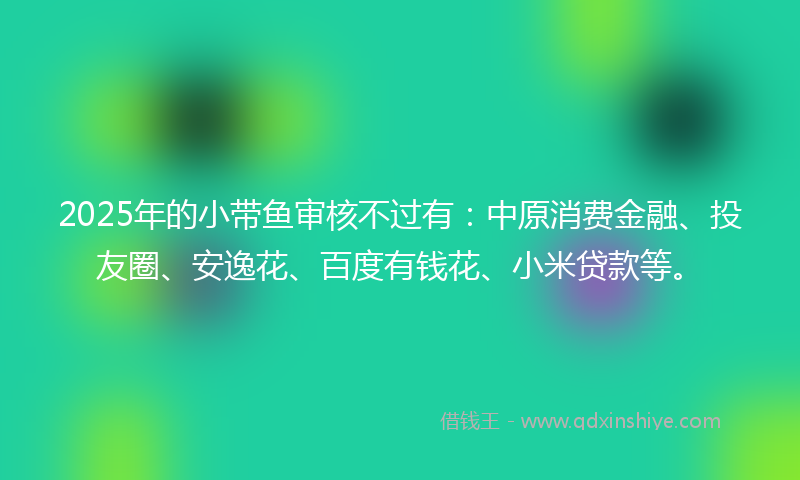 2025年的小带鱼审核不过有：中原消费金融、投友圈、安逸花、百度有钱花、小米贷款等。