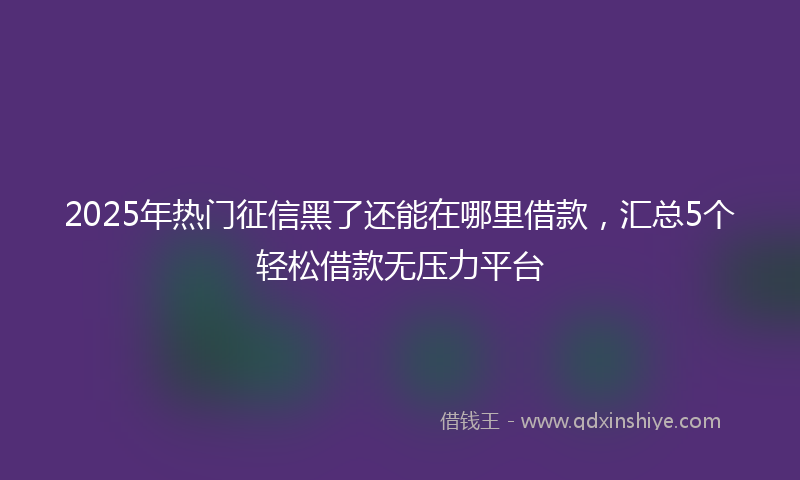 2025年热门征信黑了还能在哪里借款，汇总5个轻松借款无压力平台