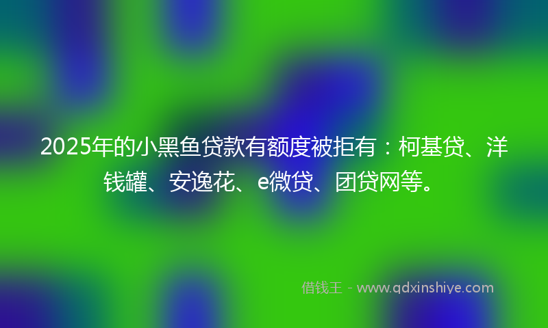 2025年的小黑鱼贷款有额度被拒有：柯基贷、洋钱罐、安逸花、e微贷、团贷网等。
