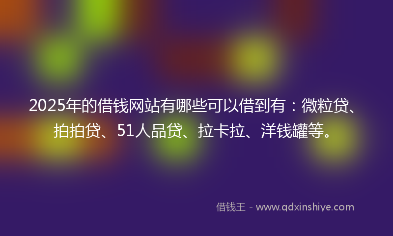 2025年的借钱网站有哪些可以借到有：微粒贷、拍拍贷、51人品贷、拉卡拉、洋钱罐等。