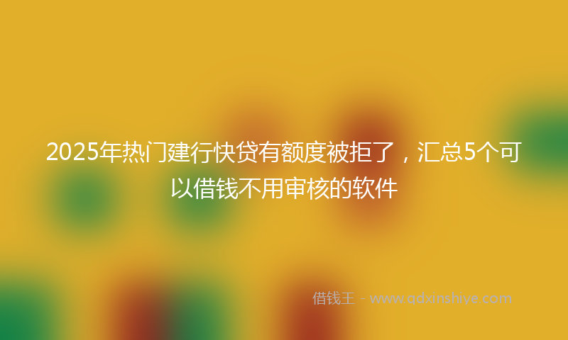 2025年热门建行快贷有额度被拒了，汇总5个可以借钱不用审核的软件
