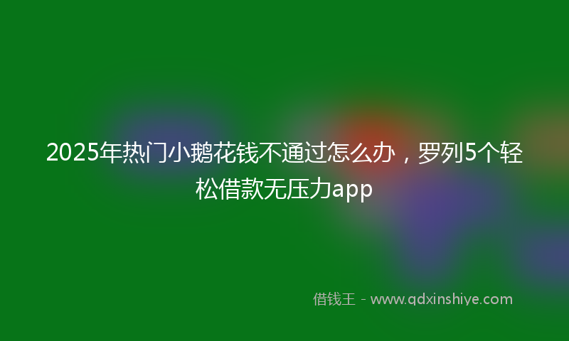 2025年热门小鹅花钱不通过怎么办，罗列5个轻松借款无压力app