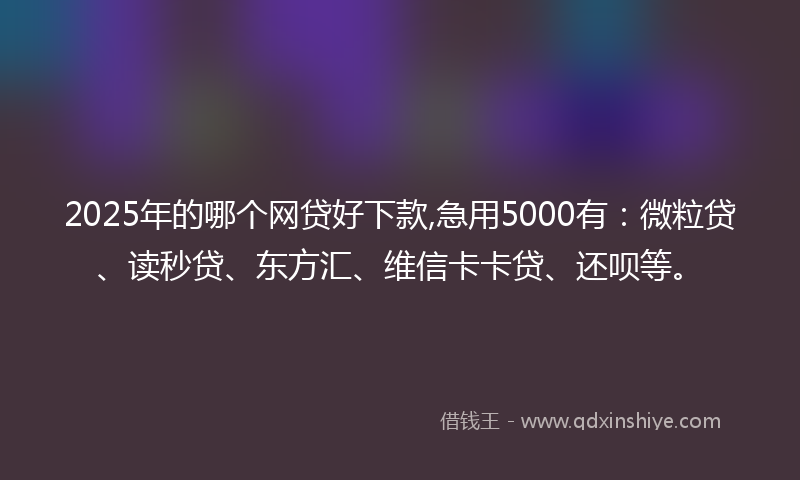 2025年的哪个网贷好下款,急用5000有：微粒贷、读秒贷、东方汇、维信卡卡贷、还呗等。