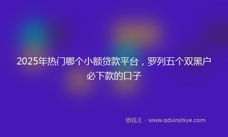 2025年热门哪个小额贷款平台，罗列五个双黑户必下款的口子