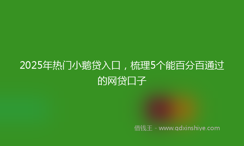 2025年热门小鹅贷入口，梳理5个能百分百通过的网贷口子