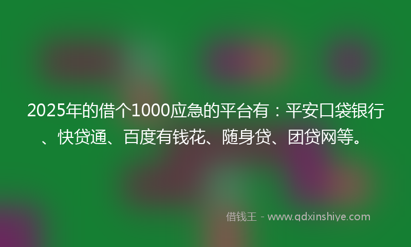 2025年的借个1000应急的平台有：平安口袋银行、快贷通、百度有钱花、随身贷、团贷网等。