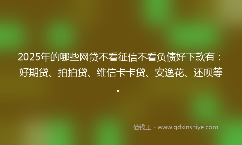 2025年的哪些网贷不看征信不看负债好下款有：好期贷、拍拍贷、维信卡卡贷、安逸花、还呗等。