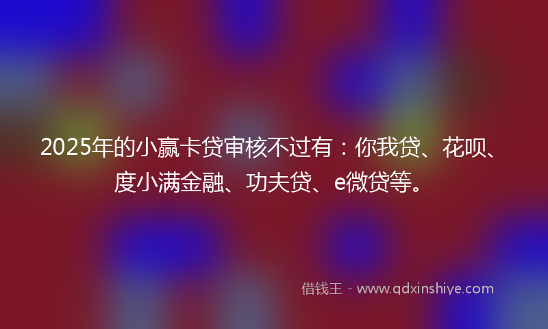 2025年的小赢卡贷审核不过有：你我贷、花呗、度小满金融、功夫贷、e微贷等。