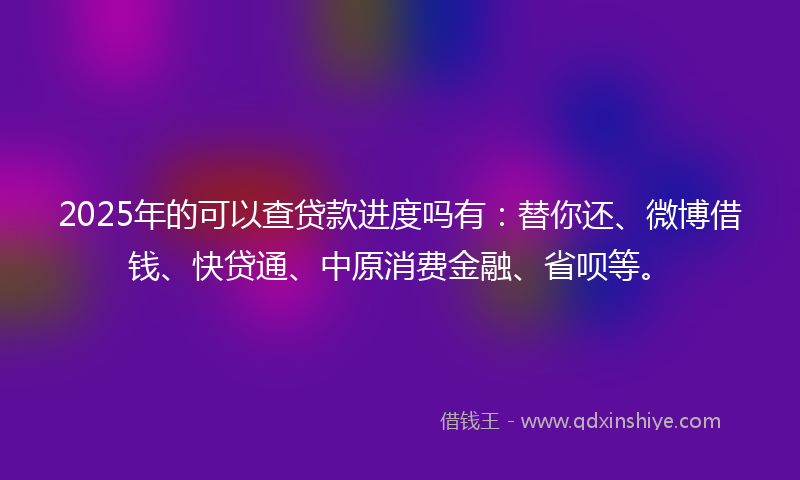 2025年的可以查贷款进度吗有：替你还、微博借钱、快贷通、中原消费金融、省呗等。
