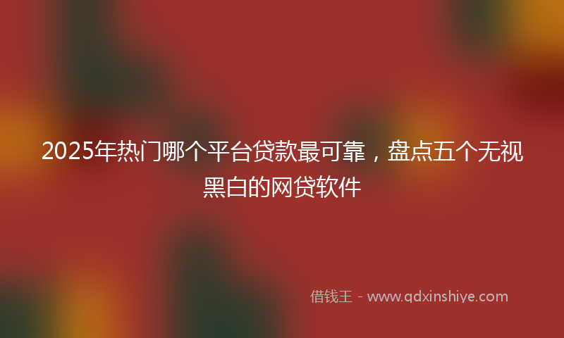 2025年热门哪个平台贷款最可靠，盘点五个无视黑白的网贷软件