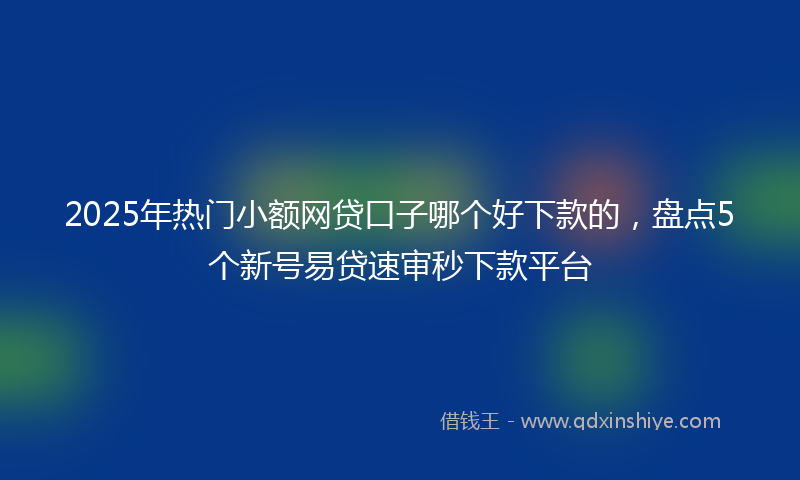 2025年热门小额网贷口子哪个好下款的，盘点5个新号易贷速审秒下款平台