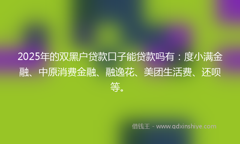 2025年的双黑户贷款口子能贷款吗有：度小满金融、中原消费金融、融逸花、美团生活费、还呗等。