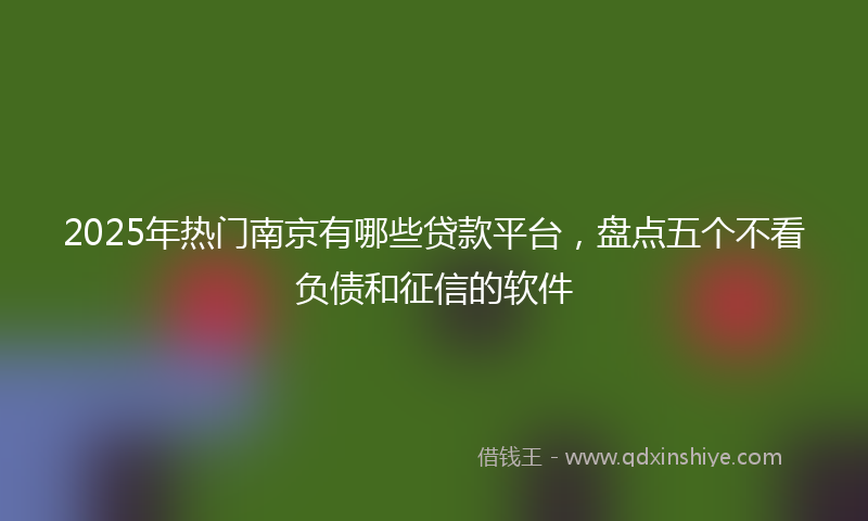 2025年热门南京有哪些贷款平台，盘点五个不看负债和征信的软件