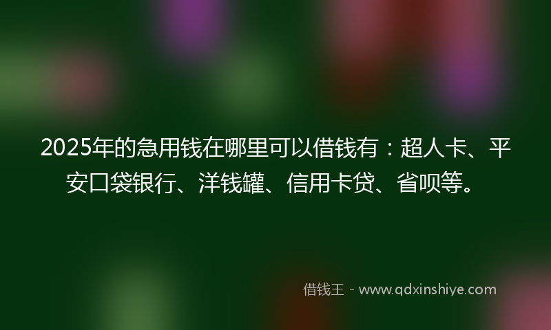 2025年的急用钱在哪里可以借钱有：超人卡、平安口袋银行、洋钱罐、信用卡贷、省呗等。